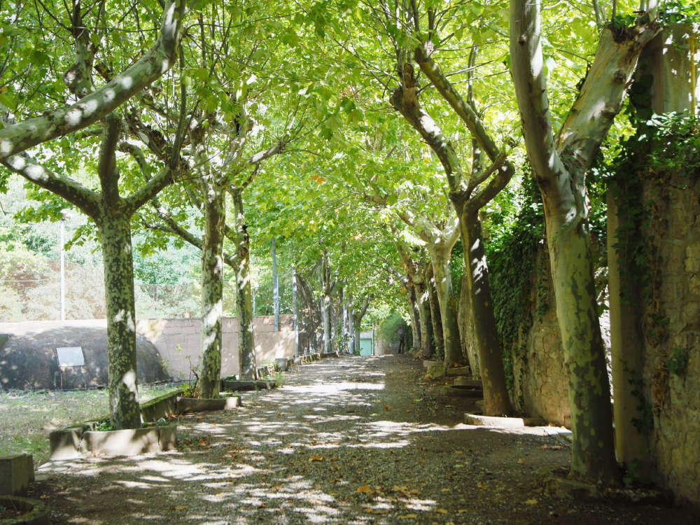 Камараса, панорама
