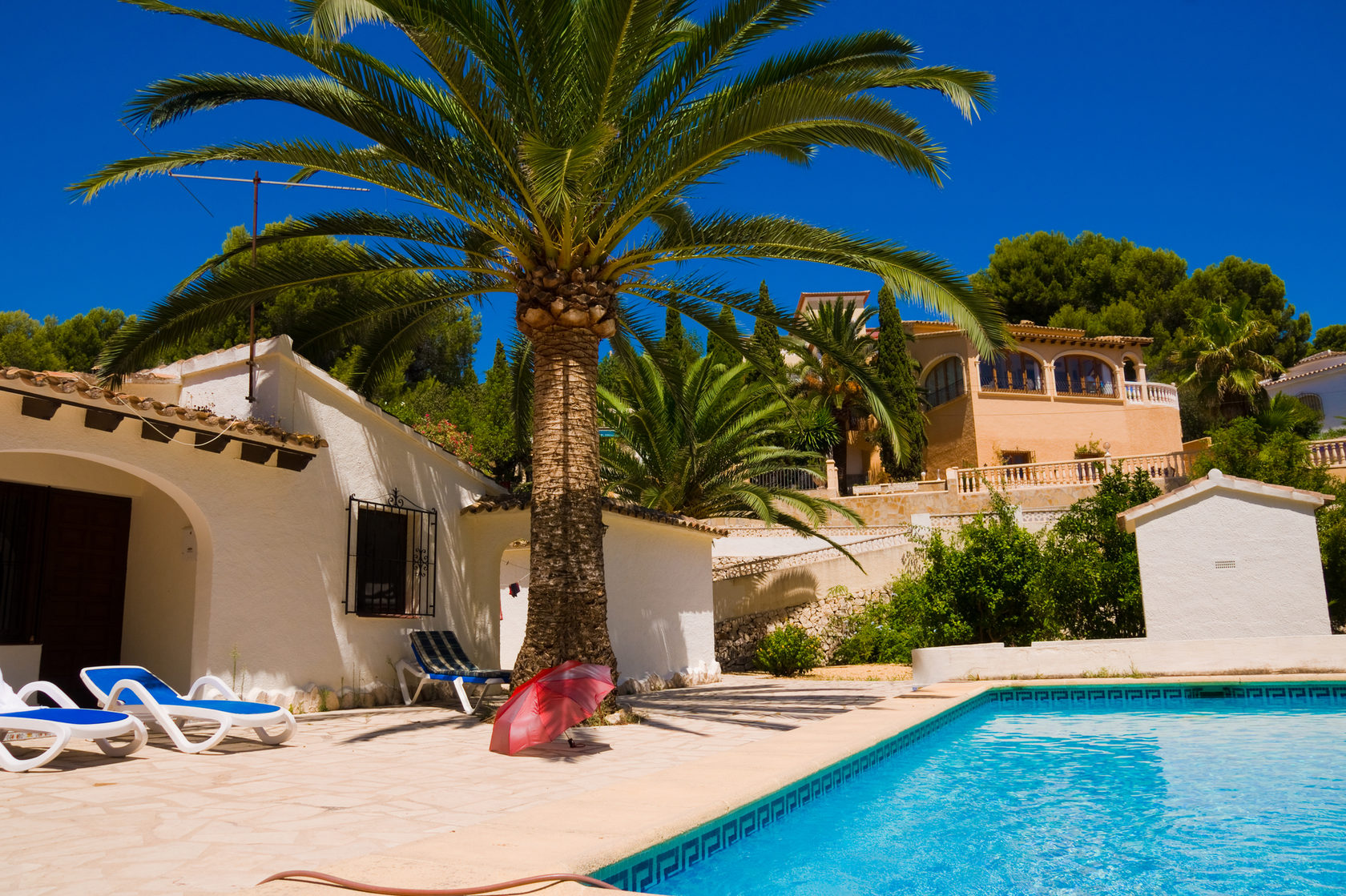 Villa with palm and pool